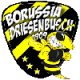 borussia-driesenbusch-1909